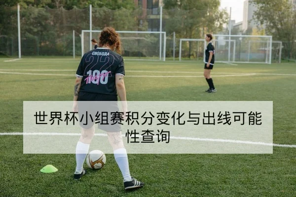 世界杯小组赛积分变化与出线可能性查询
