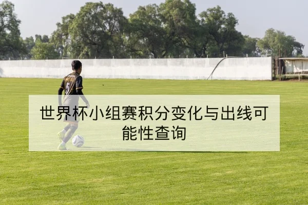 世界杯小组赛积分变化与出线可能性查询