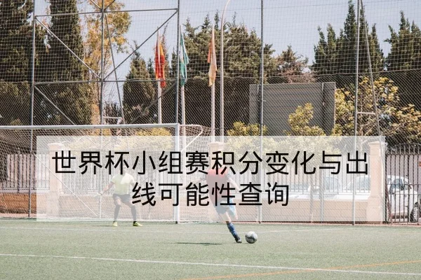 世界杯小组赛积分变化与出线可能性查询
